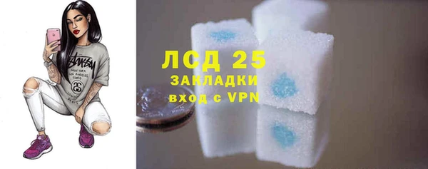 ешки Белокуриха