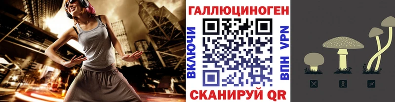 Псилоцибиновые грибы прущие грибы Майкоп
