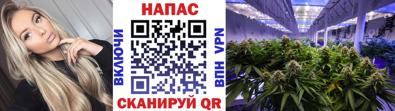 купить наркотик  Майкоп  darknet как зайти  МАРИХУАНА AK-47 